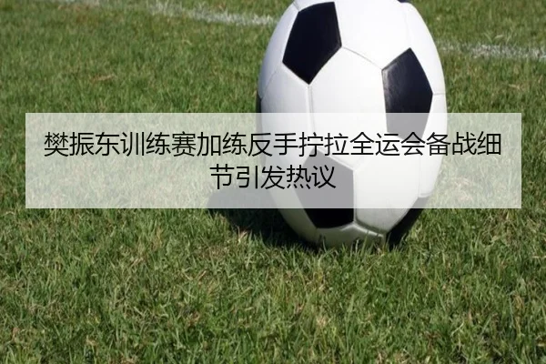 樊振东训练赛加练反手拧拉全运会备战细节引发热议